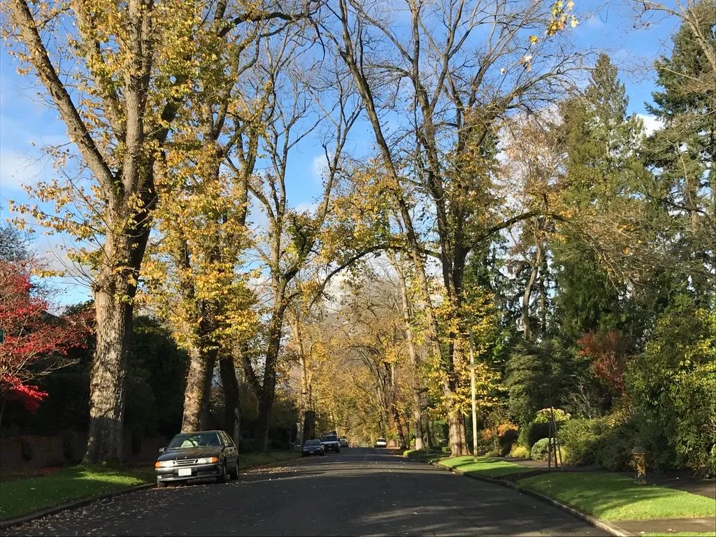 View of Denny-Blaine
