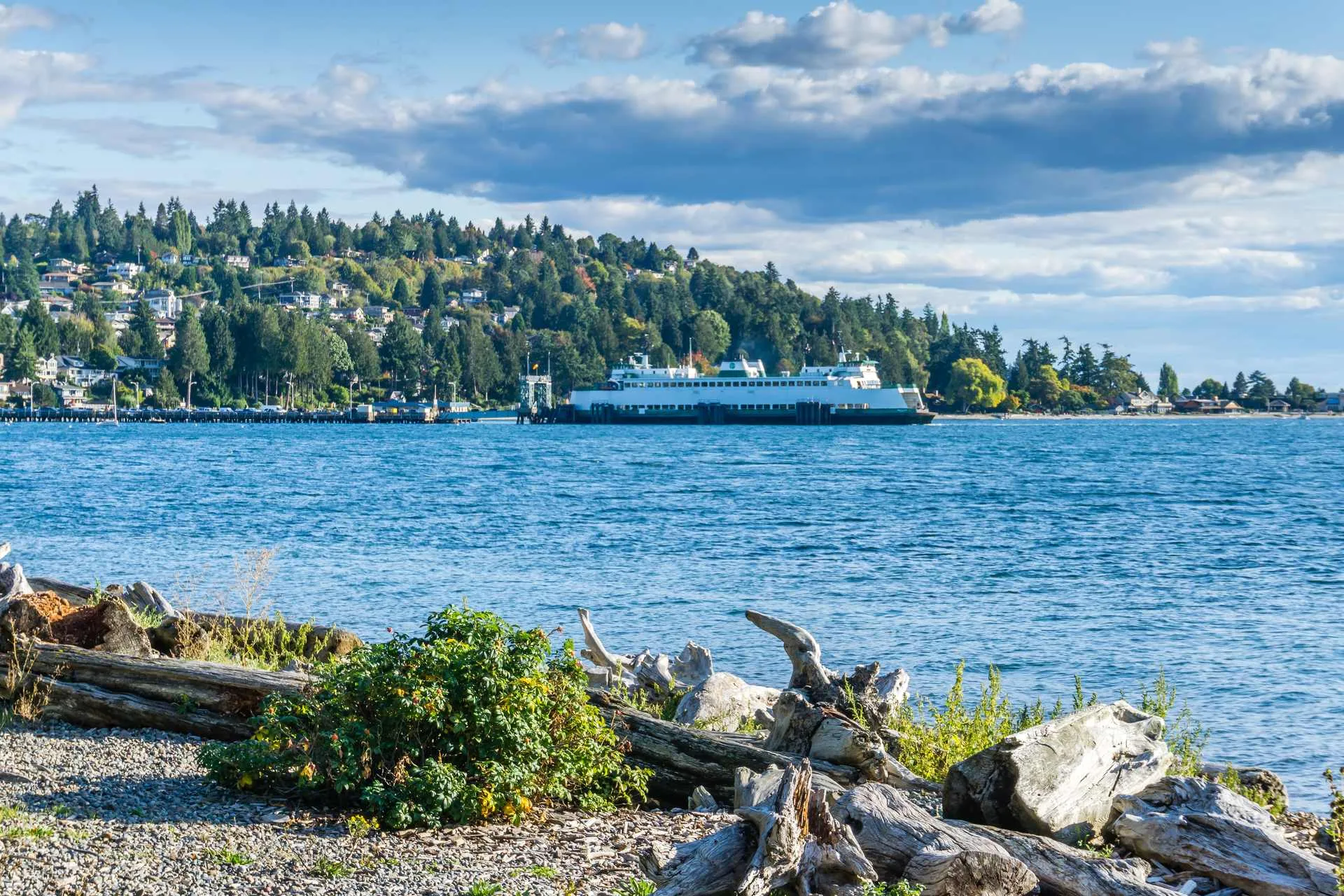 View of Fauntleroy