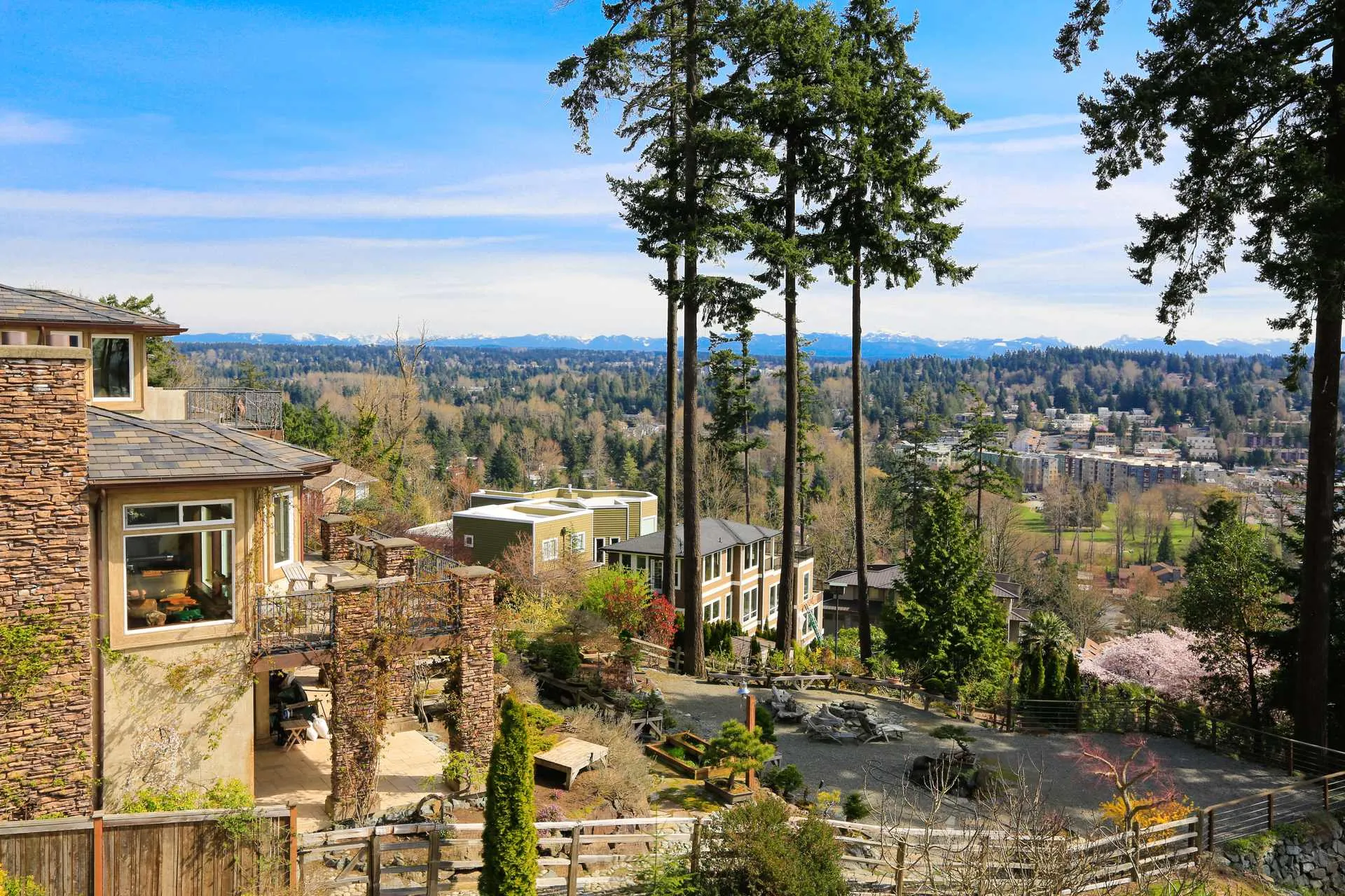 View of Hollywood Hill