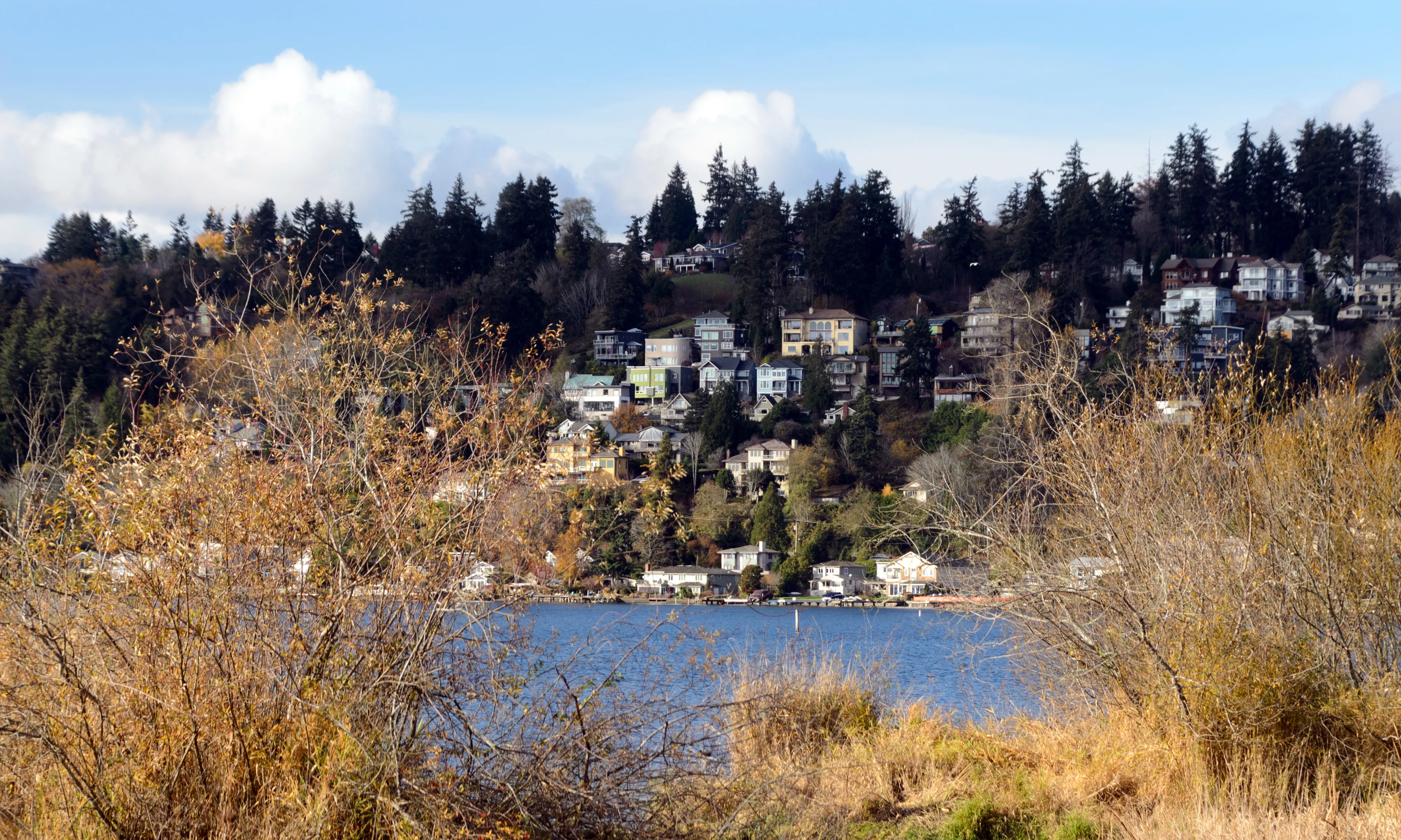 Lake Washington shoreline near Juanita and Finn Hill