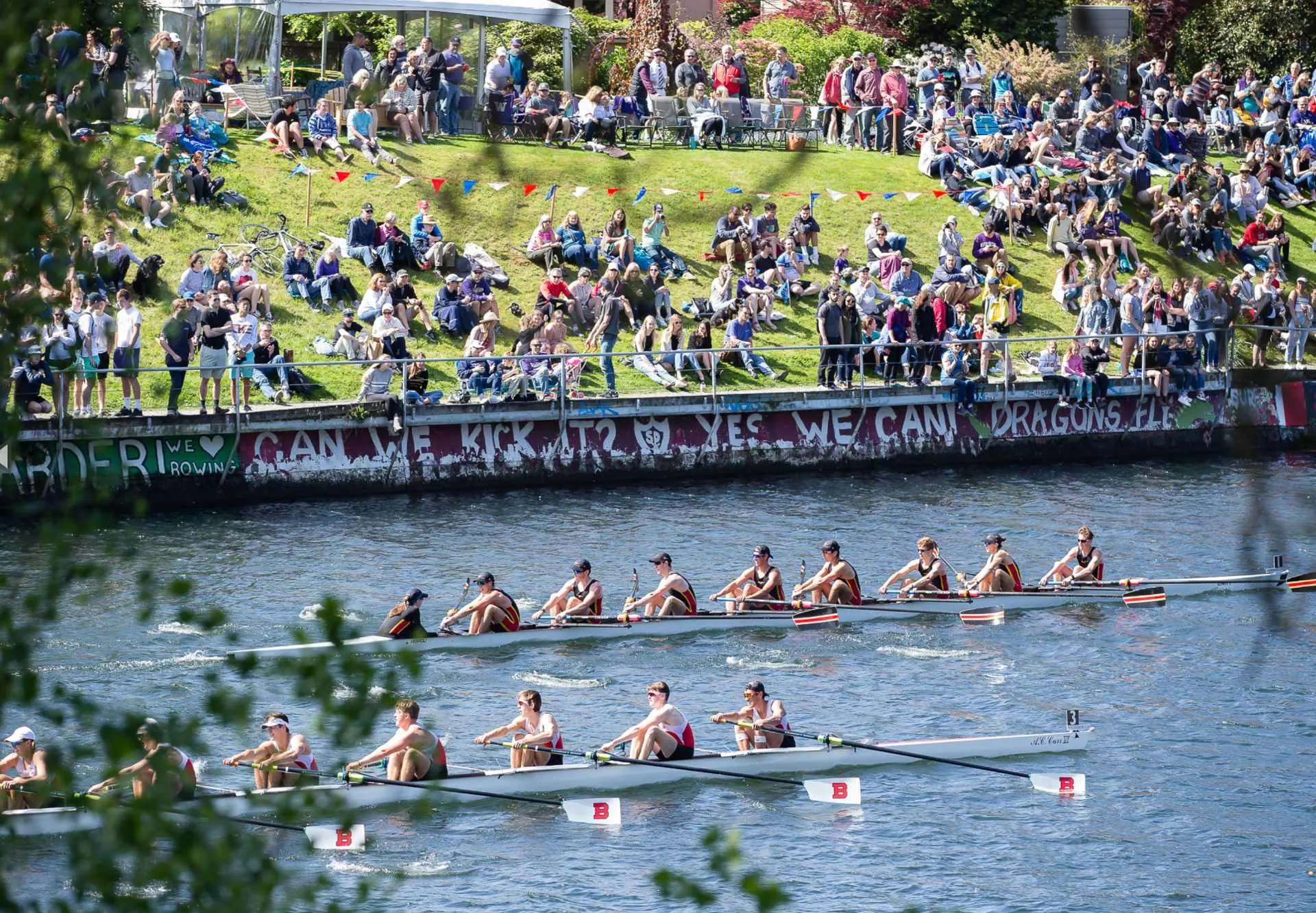 View of Montlake