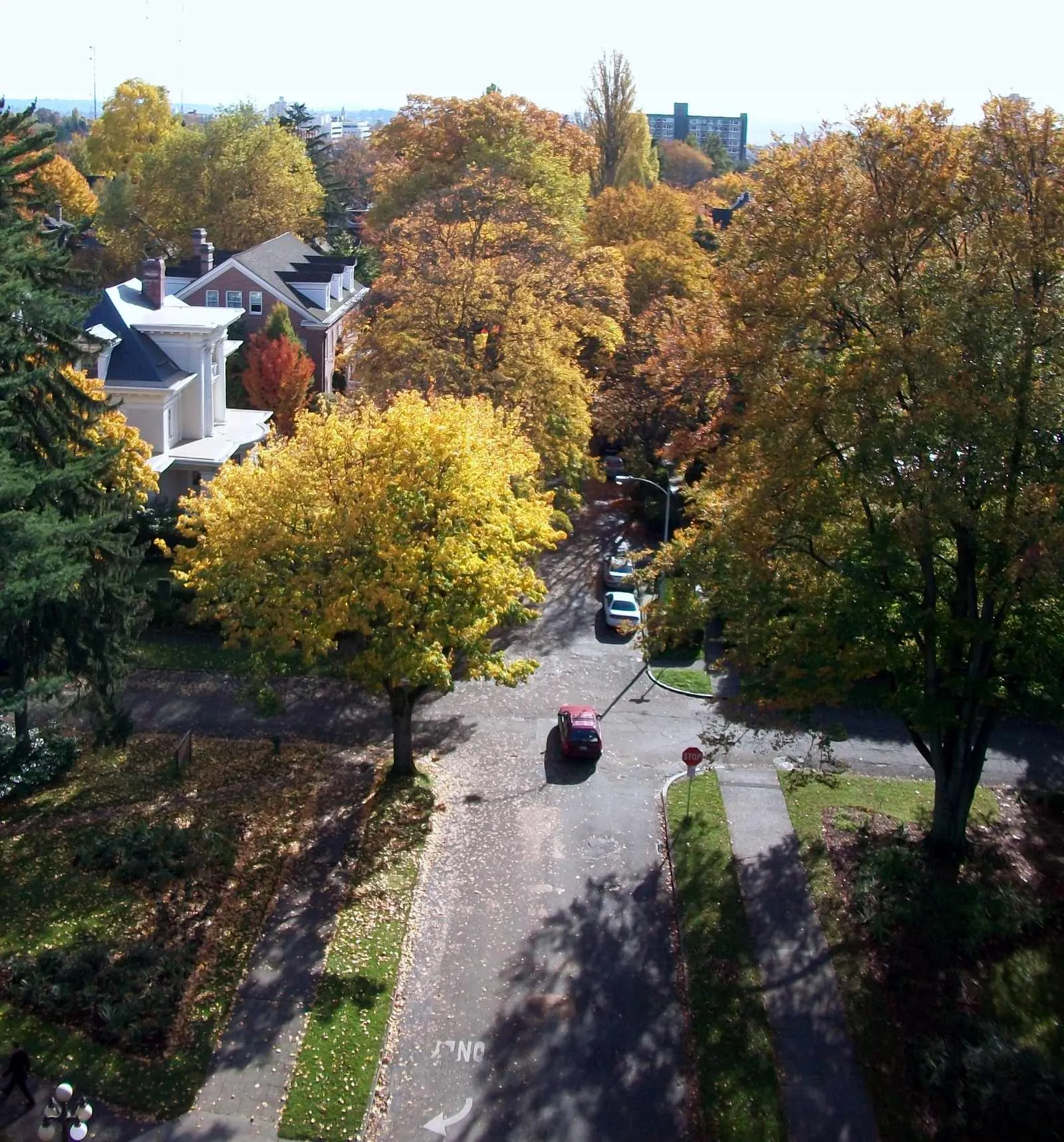 View of North Capitol Hill