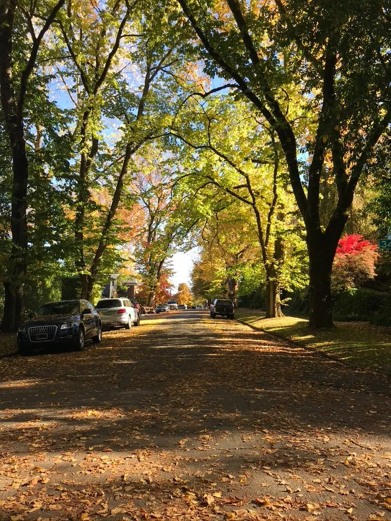 View of Washington Park