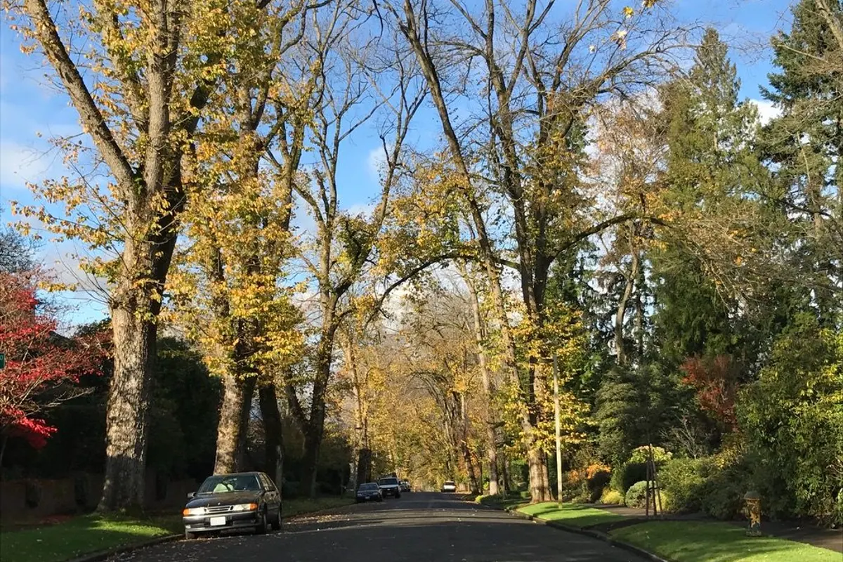 Photographic view of Denny-Blaine