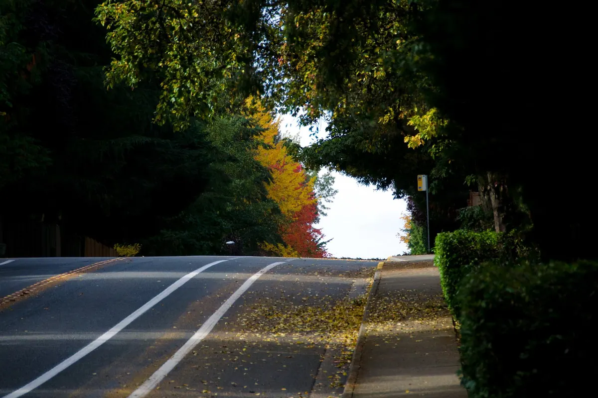 Photographic view of Education Hill