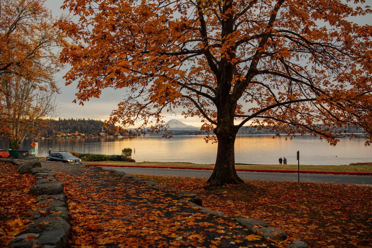 Photographic view of Seward Park