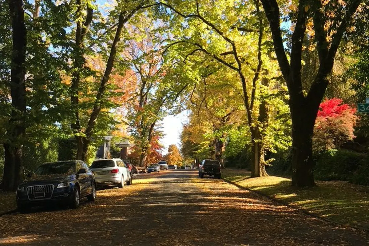 Photographic view of Washington Park