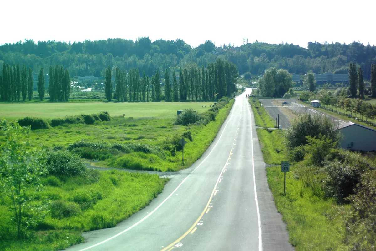 Tree-lined road through the Sammamish Valley near Woodinville